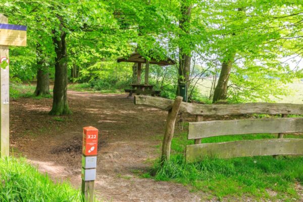 NAMO64141-tip-geurt besselink