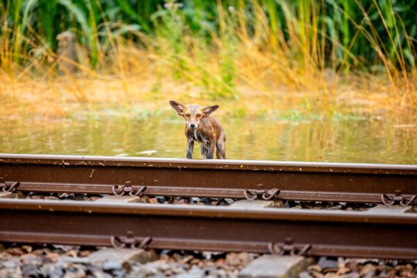 vos-water-stefan-verkerk-lr-low-res.f87b42